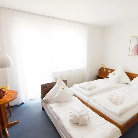 Hotel Roemerstein Mainz