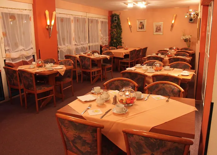 酒店 罗伊莫斯坦酒店 3*