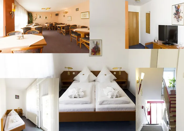 Hotel Roemerstein Mainz