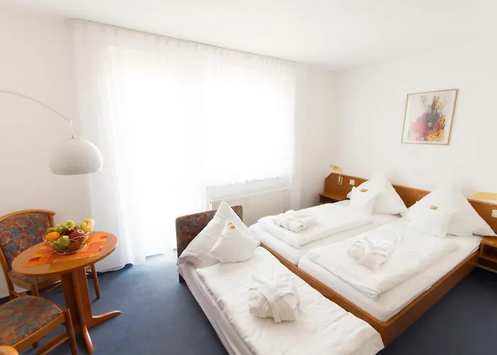 Hotel Roemerstein Mainz