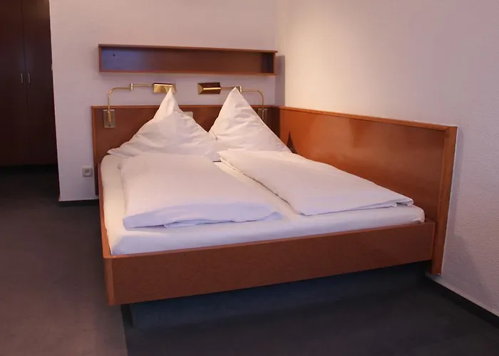 Hotel Roemerstein 3*